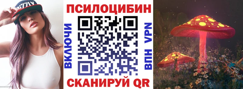 Псилоцибиновые грибы мицелий  что такое наркотик  Астрахань 