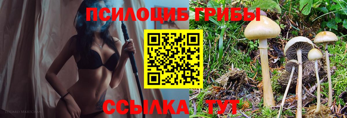 наркотики  Псилоцибиновые грибы мицелий  Галлюциногенные грибы MAGIC MUSHROOMS  Вход с VPN  Астрахань 